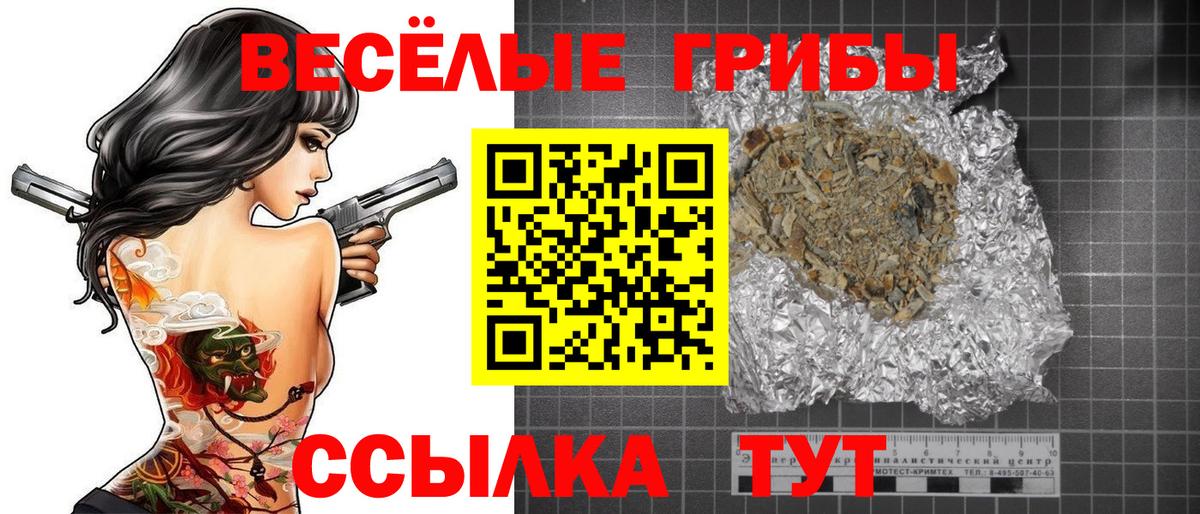 Галлюциногенные грибы Psilocybine cubensis Советский