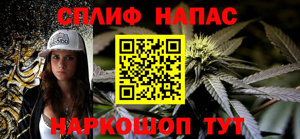 Бошки Шишки MAZAR Советский